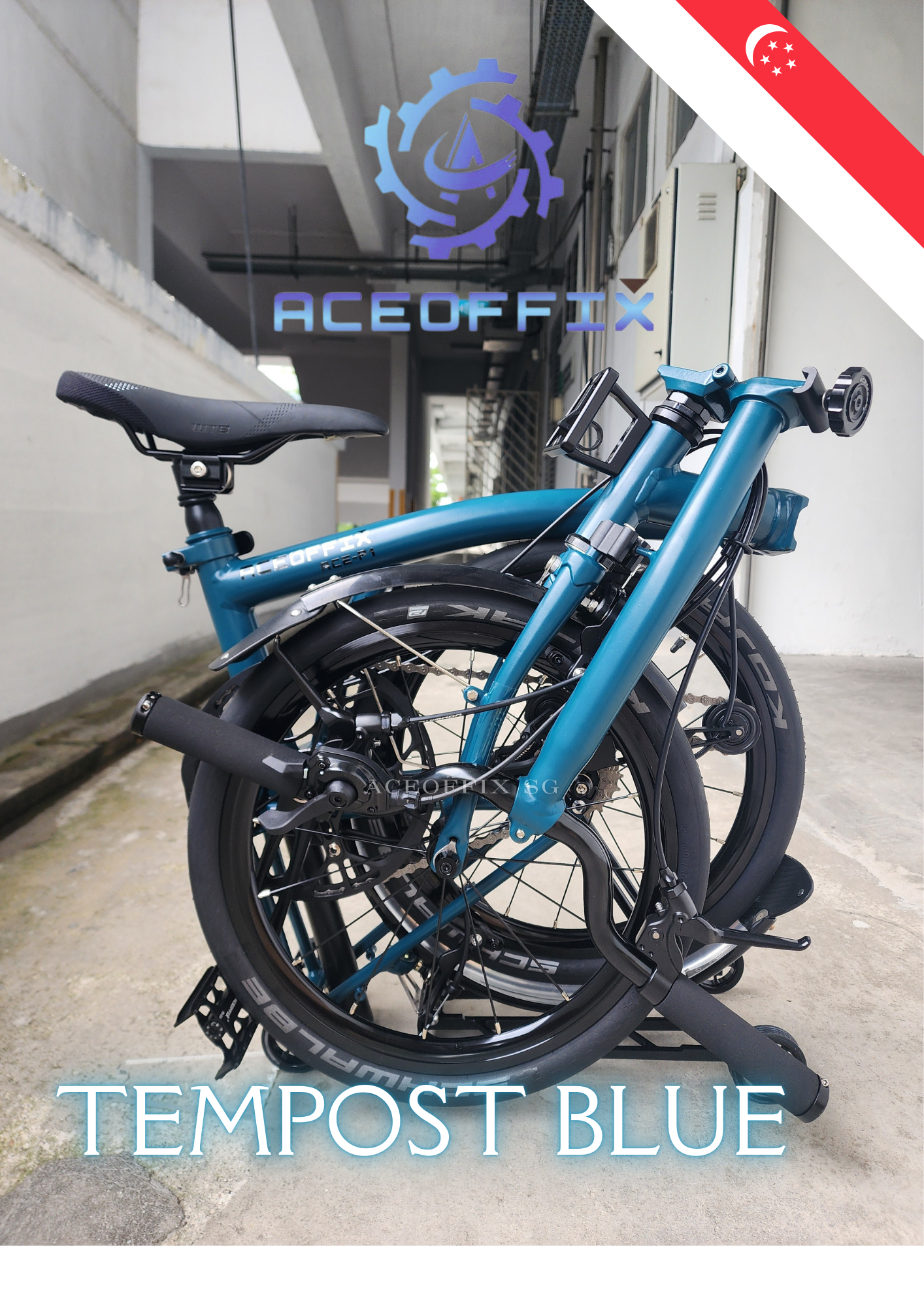 ACEOFFIX P1+ TEMPOST BLUE