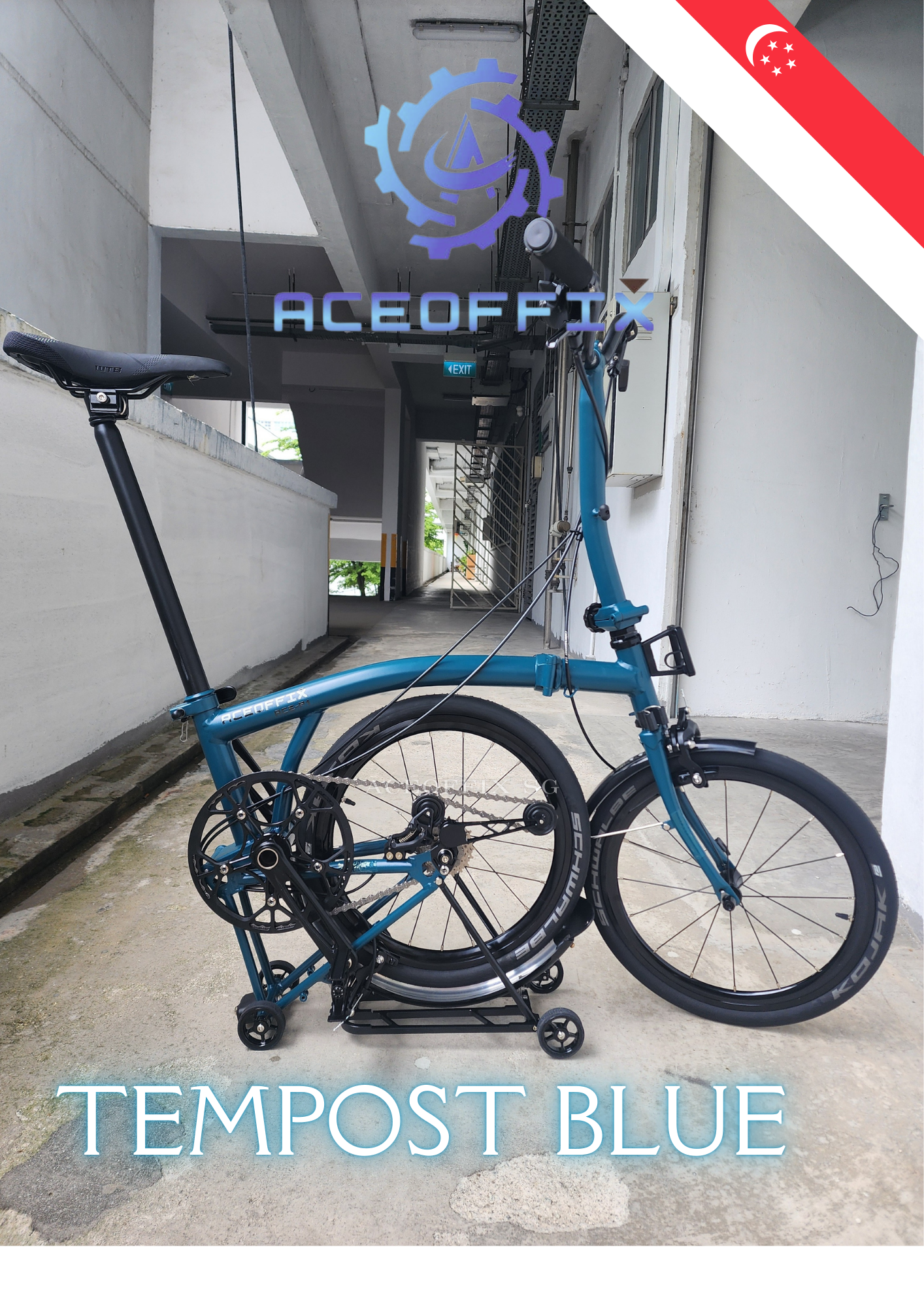 ACEOFFIX P1+ TEMPOST BLUE